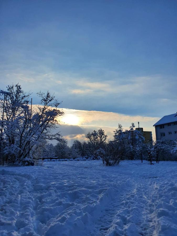 Wohnung Im Schwarzwald Mit Panorama Blick Kleines Wiesental Экстерьер фото