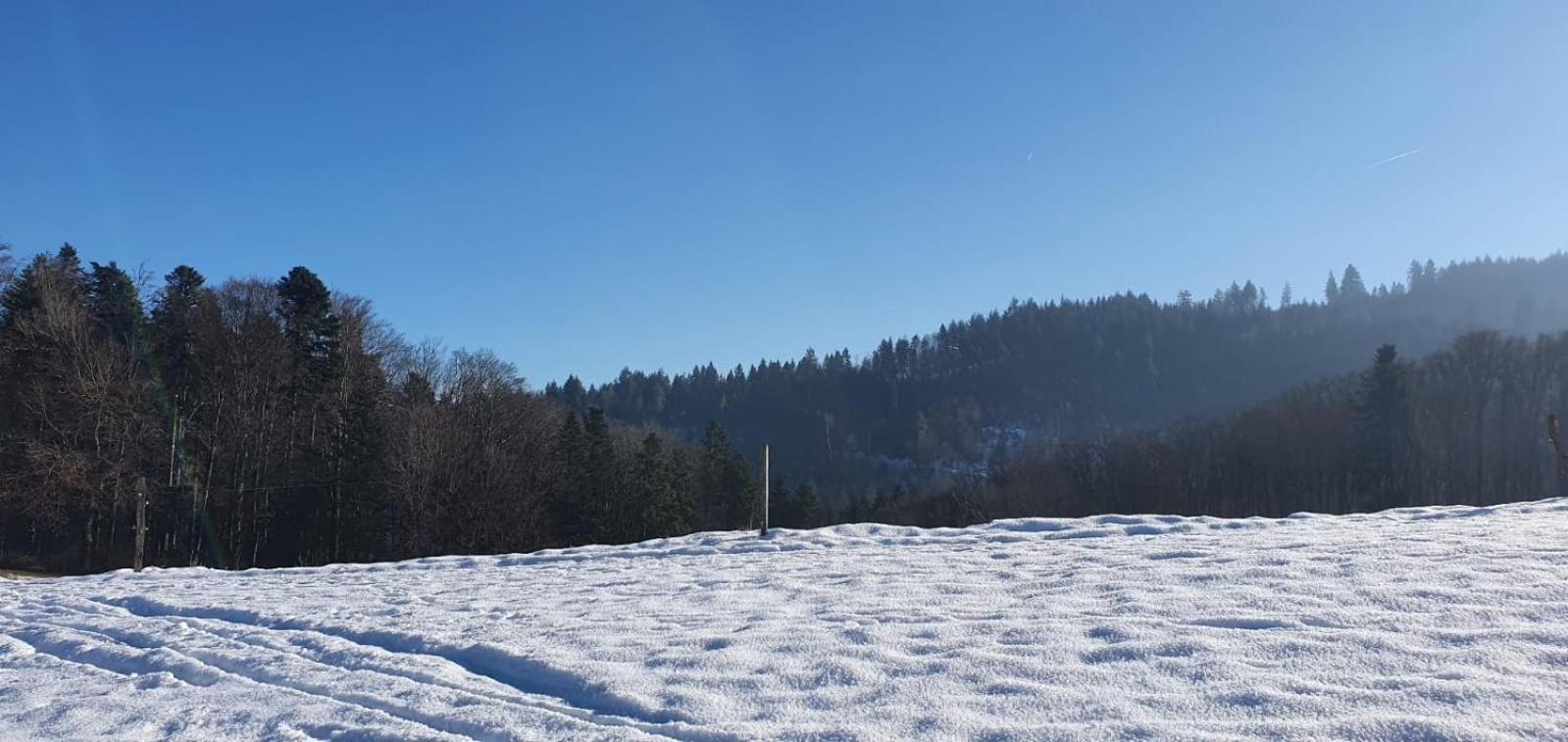 Wohnung Im Schwarzwald Mit Panorama Blick Kleines Wiesental Экстерьер фото