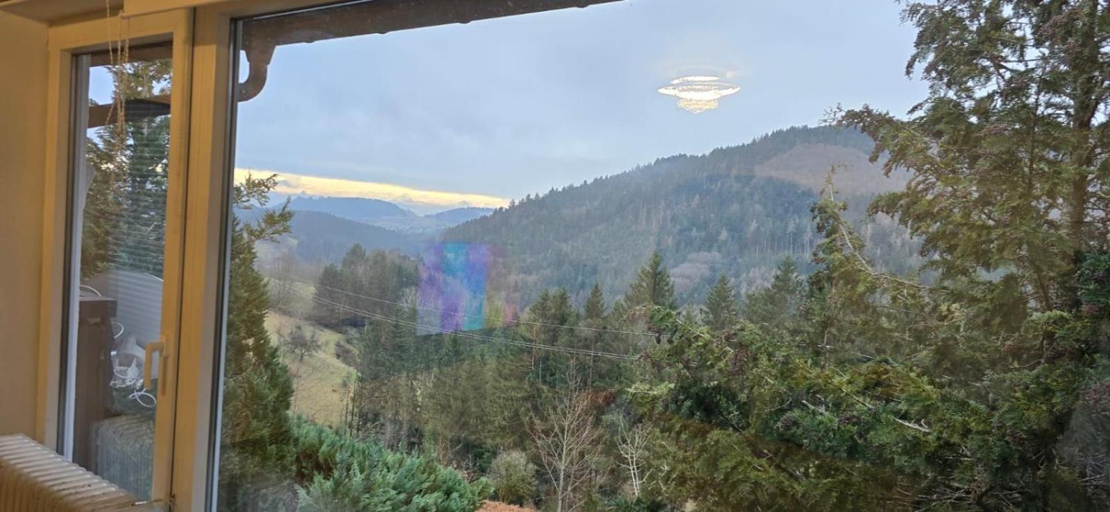 Wohnung Im Schwarzwald Mit Panorama Blick Kleines Wiesental Экстерьер фото