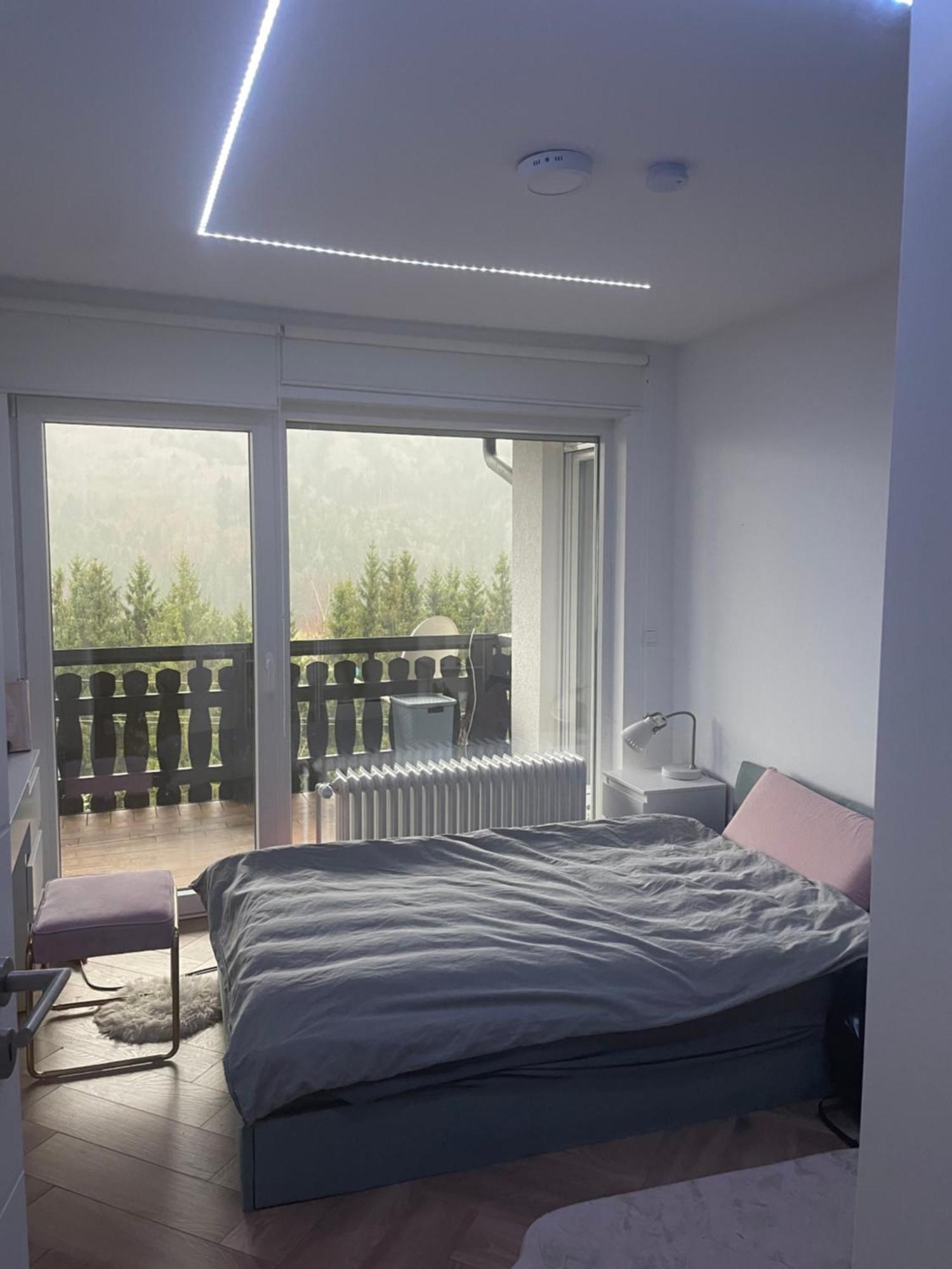 Wohnung Im Schwarzwald Mit Panorama Blick Kleines Wiesental Экстерьер фото